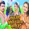 About Radha Teri Bindiya Pe Kanha Marta Hai Song