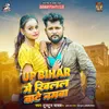 About UP Bihar Me Khilal Bate Namwa Song