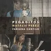 About Pegaditos Song