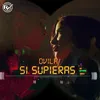 About Si Supieras Song