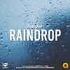 About Raindrop Song