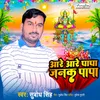 About Aare Aare Papa Janak Papa Song