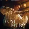 About Tum Mere Song