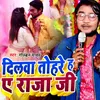 About Dilwa Tohare H A Raja Ji Song