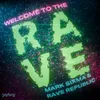 About Welcome To The Rave Song