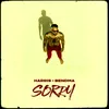 About Sorry Song