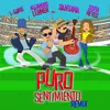 About Puro Sentimiento (feat. Santana) [Remix] Song