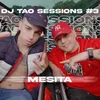 About MESITA | DJ TAO Turreo Sessions #3 Song