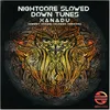 Xanadu (feat. Ummet Ozcan) [Slowed Version]