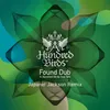 About Found Dub (feat. TeN) [Japanet Jackson Remix] Song
