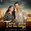 About Tera Aqs Song