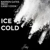 About Ice Cold (feat. Casey Cook) Song