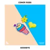 About Goodbye Song