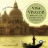 Concerto for Viola d'amore and Lute in D Minor, RV 540: I. Allegro
