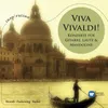 Concerto for Viola d'amore and Lute in D Minor, RV 540: III. Allegro