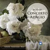 Sinfonia concertante for Violin and Viola in E-Flat Major, K. 364: II. Andante