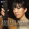 Violin Concerto No. 2 in E major BWV1042: Allegro