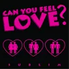 About Can You Feel Love Song