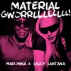 About MATERIAL GWORRLLLLLLLL! Song