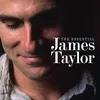 Hard Times Come Again No More feat. James Taylor