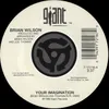 Your Imagination 45 Version