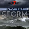 About Into the Storm Radio Edit Song