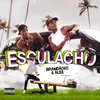 About Esculacho Song