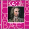 Bach, JS : Cantata No.49 Ich geh und suche mit Verlangen BWV49 : I Sinfonia