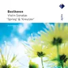 Beethoven: Violin Sonata No. 5 in F Major, Op. 24 "Spring": III. Scherzo. Allegro molto