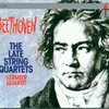 About Beethoven: String Quartet No. 13 in B-Flat Major, Op. 130: II. Presto Song