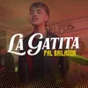 About La Gatita Song
