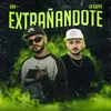 About Extrañandote Song