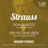 Don Quixote, Op.35, IRS 18: Variation V. Des Ritters Nachtwache