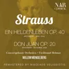 Ein Heldenleben, Op.40, IRS 20: I. Der Held