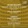 Cello Concerto, in A Minor, Op.129, IRS 19: I. Nicht zu schnell