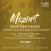 About Don Giovanni, K.527, IWM 167, Act I: "Ah, chi mi dice mai" (Donna Elvira, Don Giovanni, Leporello) Song