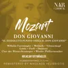 Don Giovanni, K.527, IWM 167, Act I: "Mi par ch'oggi il demonio si diverta" (Don Giovanni, Don Ottavio, Donna Anna, Donna Elvira)