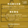 Violin Concerto, IAB 14: I. Allegro - Adagio