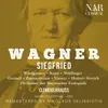 About Siegfried, WWV 86C, IRW 44, Act I: "Die Stücken! Das Schwert!" (Mime, Der Wanderer) Song