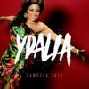About Candela (2K16) Song