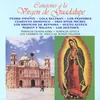 Mi Virgen Ranchera (inter. Martín y Malenna)