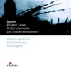 Rückert-Lieder: No. 3, Blicke mir nicht in die Lieder