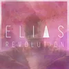 Revolution Acoustic Version