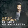 About El aire de Andalucía Song