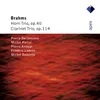 Horn Trio in E-Flat Major, Op. 40: IV. Finale. Allegro con brio