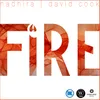 About Fire (feat. David Cook) Song