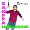 About Samppa Linna Shake Song