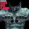 About Feuer und Flamme Song
