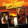 About Sua liikaa rakastan - I Love You Much Too Much Song