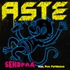 Sekopää (feat. Pete Parkkonen) feat. Pete Parkkonen